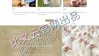 如何选靠谱网站制作公司