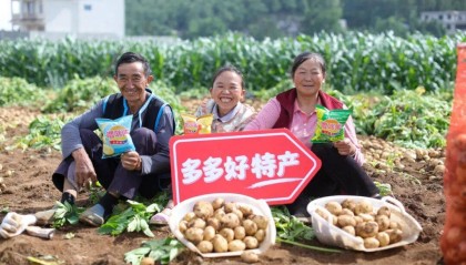 不跟风外卖大战，拼多多“慢”落子