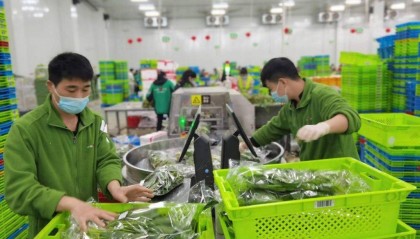 校园食材采购系统如何选？