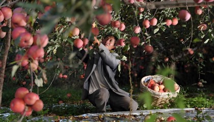 拼多多的“隐秘战争”