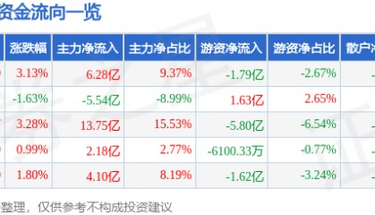 股票行情快报：比亚迪（002594）5月20日主力资金净买入6.28亿元
