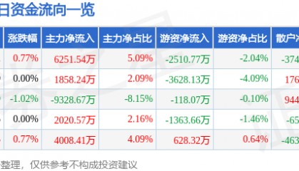 股票行情快报：京东方Ａ（000725）6月17日主力资金净买入6251.54万元