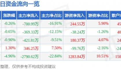 股票行情快报：ST张家界（000430）10月15日主力资金净卖出700.99万元