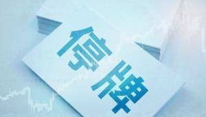 9月收了15个涨停，*ST正平：公司股票交易异常波动，将停牌核查