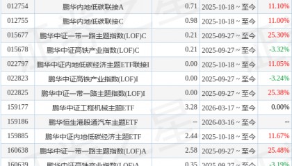 鹏华300LOF基金经理变动：增聘王力为基金经理