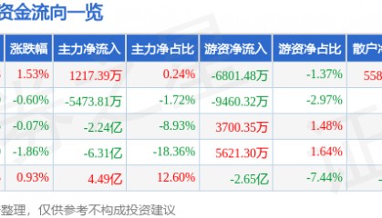 股票行情快报：比亚迪（002594）6月24日主力资金净买入1217.39万元