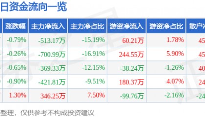 股票行情快报：ST张家界（000430）10月16日主力资金净卖出513.17万元