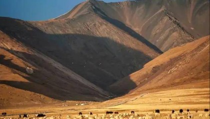 当电商都在跨界，拼多多为何选择“西进”？