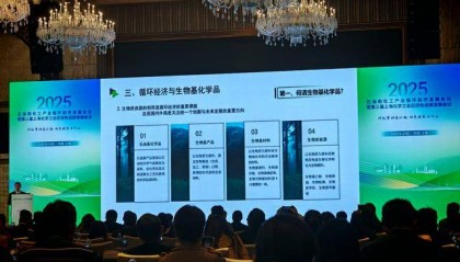 蓝皮书：中国石化行业循环发展面临五大挑战