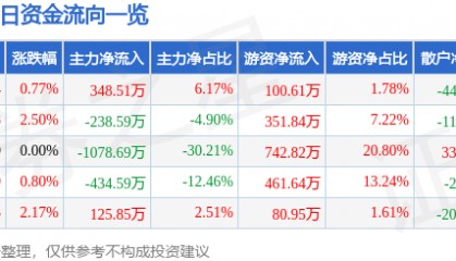 股票行情快报：ST张家界（000430）10月27日主力资金净买入348.51万元