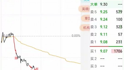 没有大的利空，大盘大涨，这只股票却直接跌停，里面散户都郁闷了！