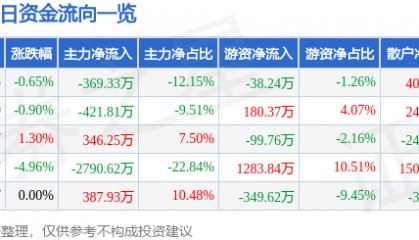 股票行情快报：ST张家界（000430）10月14日主力资金净卖出369.33万元