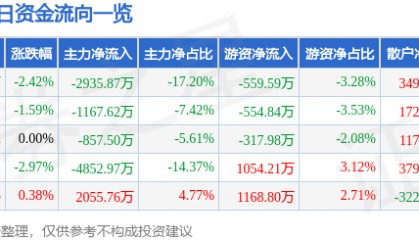股票行情快报：日出东方（603366）6月13日主力资金净卖出2935.87万元