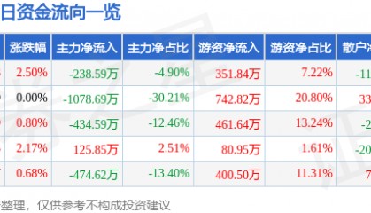 股票行情快报：ST张家界（000430）10月24日主力资金净卖出238.59万元