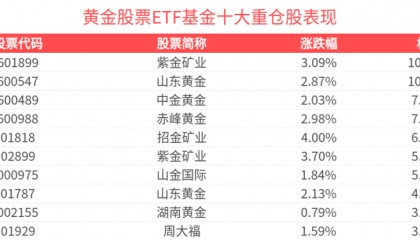 黄金股票ETF基金(159322)强势反弹超2%！黄金存在持续催化因素回调配置价值凸显