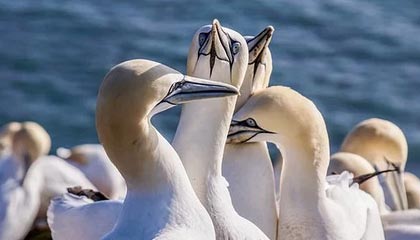 4.5亿!兴业银行天津分行落地天津民营 上市公司最大规模股票回购贷