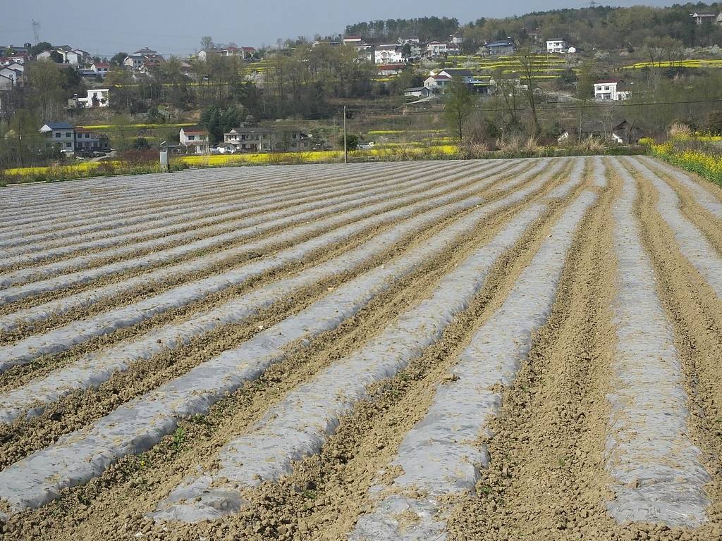 公职人员占他人耕地屡次修坟,得管管乡村恶霸