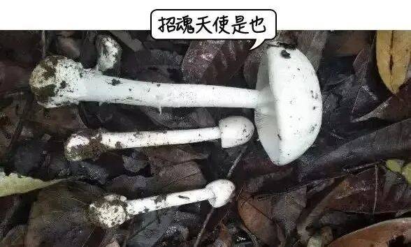 深圳一对夫妻深夜双双入院！一周内12人中招！近期很常见，千万别碰