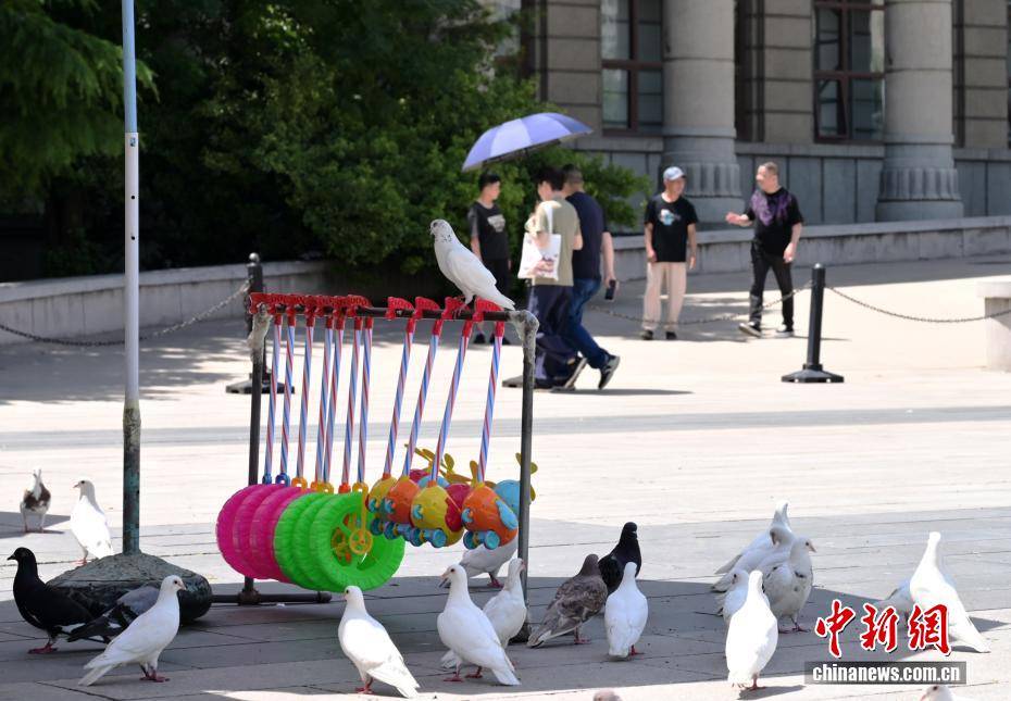 河北石家庄遇高温天气 最高气温达39℃