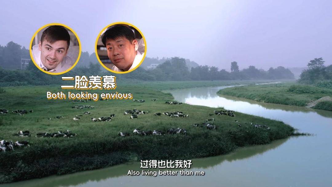 长沙辣椒炒肉的鲜香密码，藏在这群被“宠上天”的花猪身上