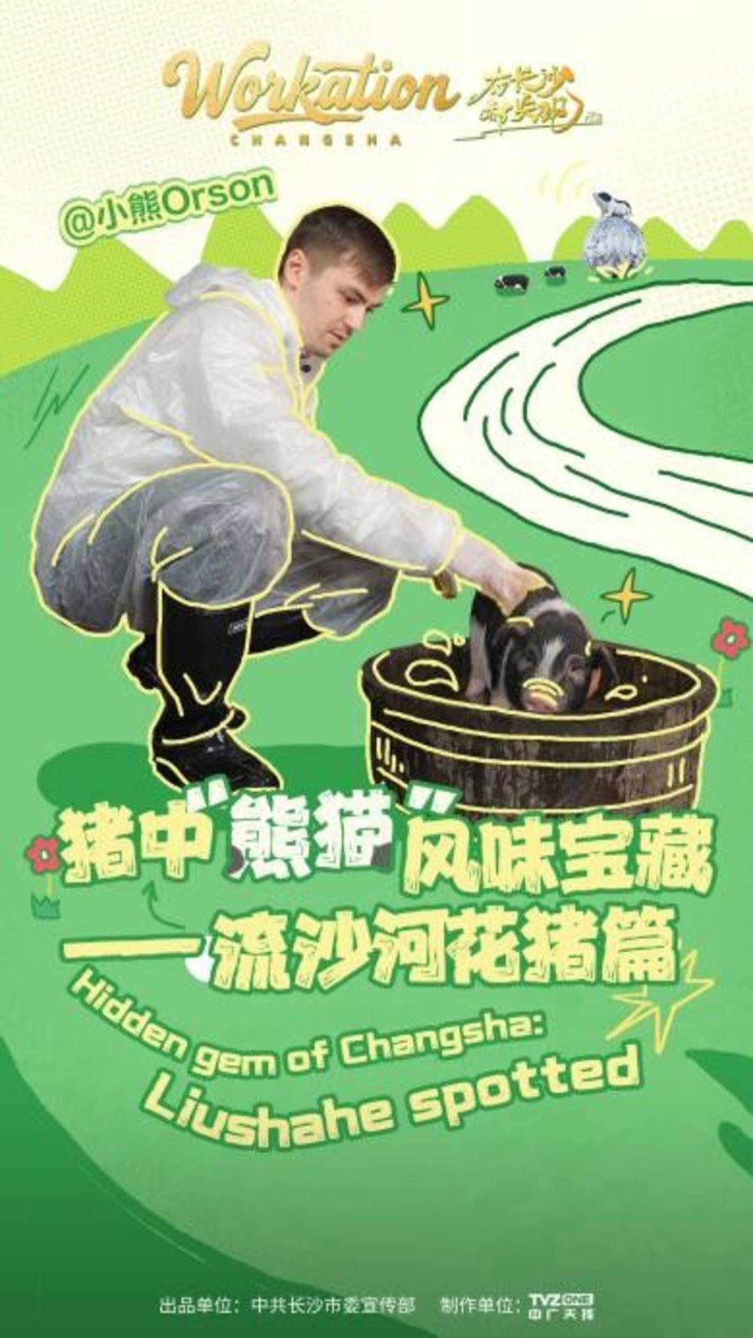长沙辣椒炒肉的鲜香密码，藏在这群被“宠上天”的花猪身上